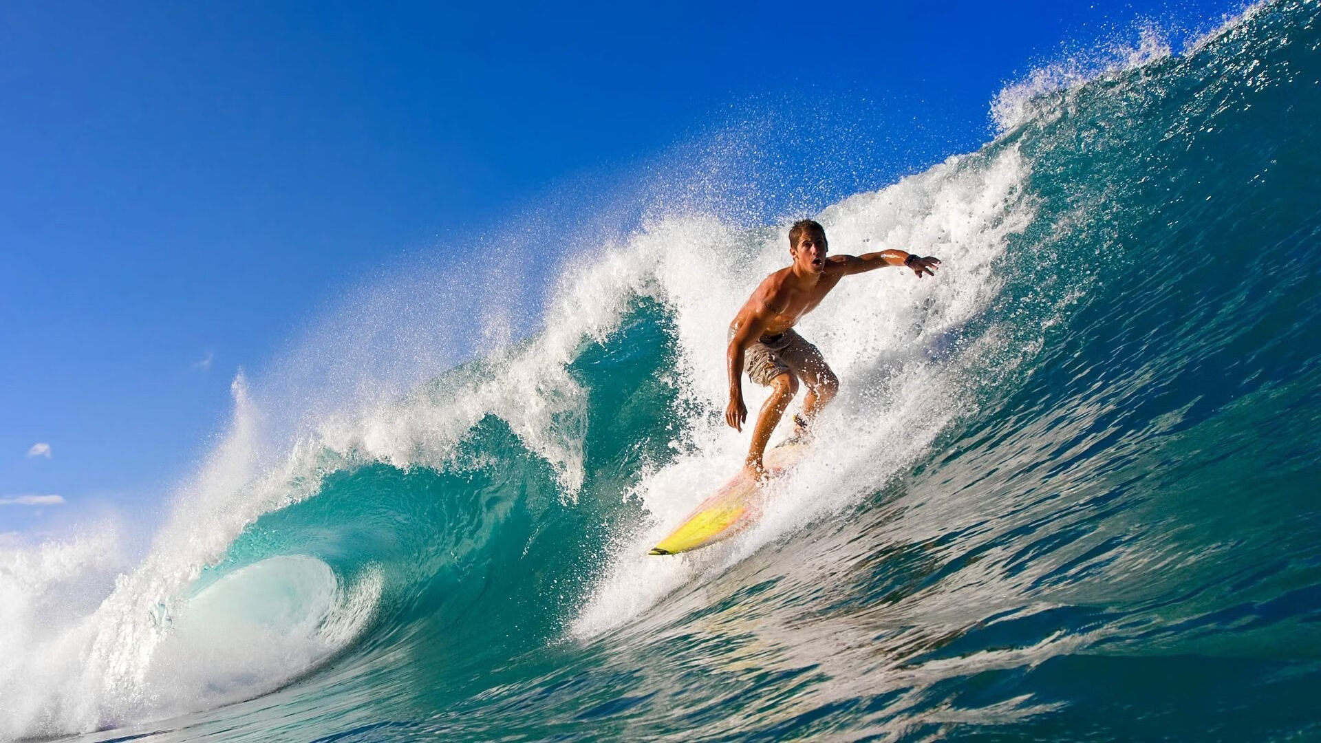 开云入口-绿色环保材料在足球场馆建设中的应用规模持续扩大，行业绿色转型提速